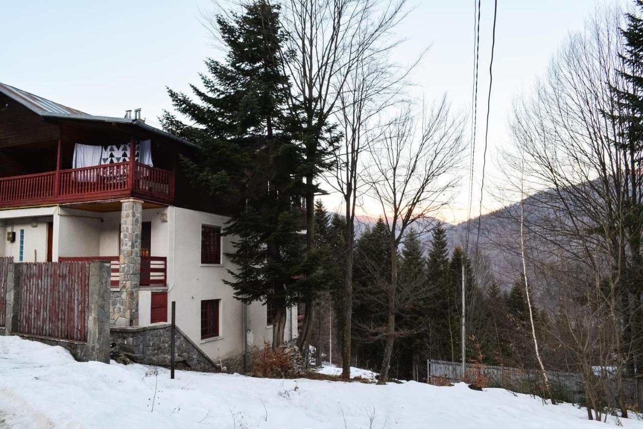 Grandpa'S Hidden Crib, 6 Bedroom, Pet Friendly Синая Экстерьер фото